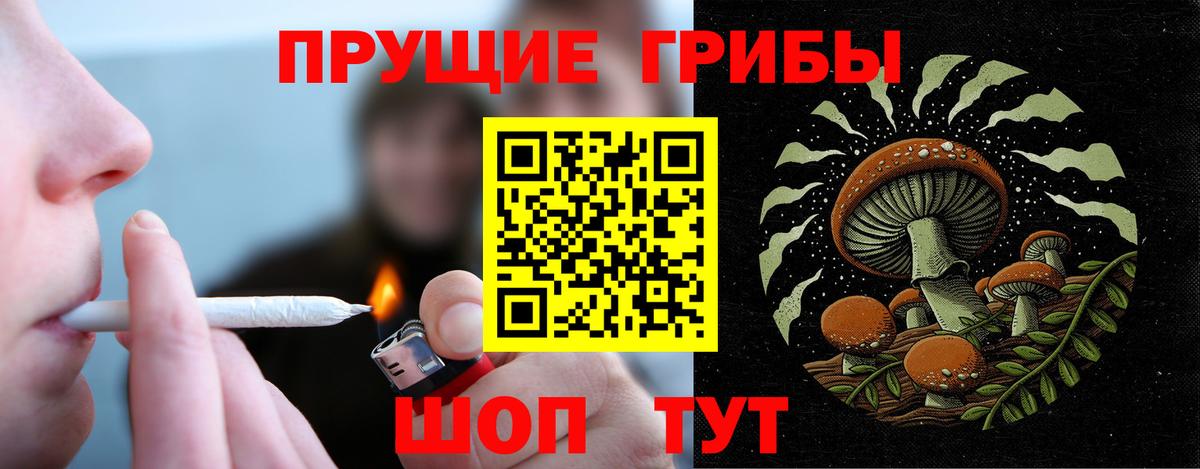 Галлюциногенные грибы MAGIC MUSHROOMS Светлоград