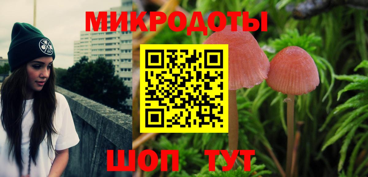 Светлоград  Галлюциногенные грибы прущие грибы  Псилоцибиновые грибы прущие грибы  Вход с VPN 